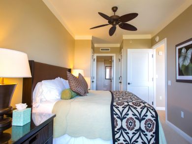 Kaanapali  Maui Condo 895767